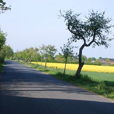 Ferienwohnung Im Gruenen - Hof Blohme Langwedel  Dış mekan fotoğraf