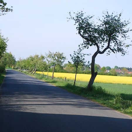 Ferienwohnung Im Grunen - Hof Blohme Langwedel  Dış mekan fotoğraf